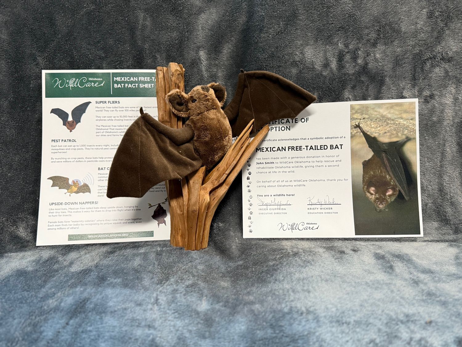Adopt an Animal: Mexican Free-Tailed Bat ($25 without stuffed animal)