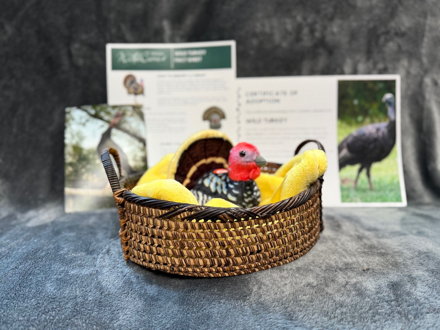 Adopt an Animal: Wild Turkey ($25 without stuffed animal)