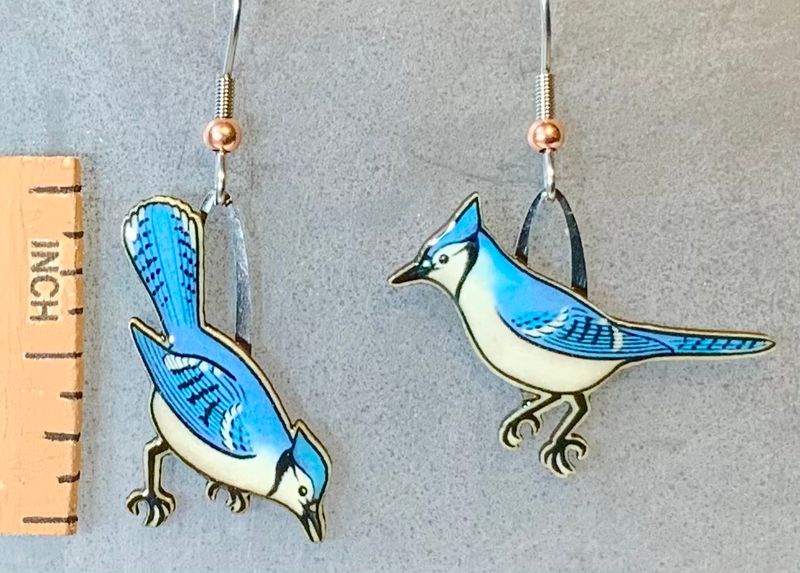 Earrings: Blue Jay