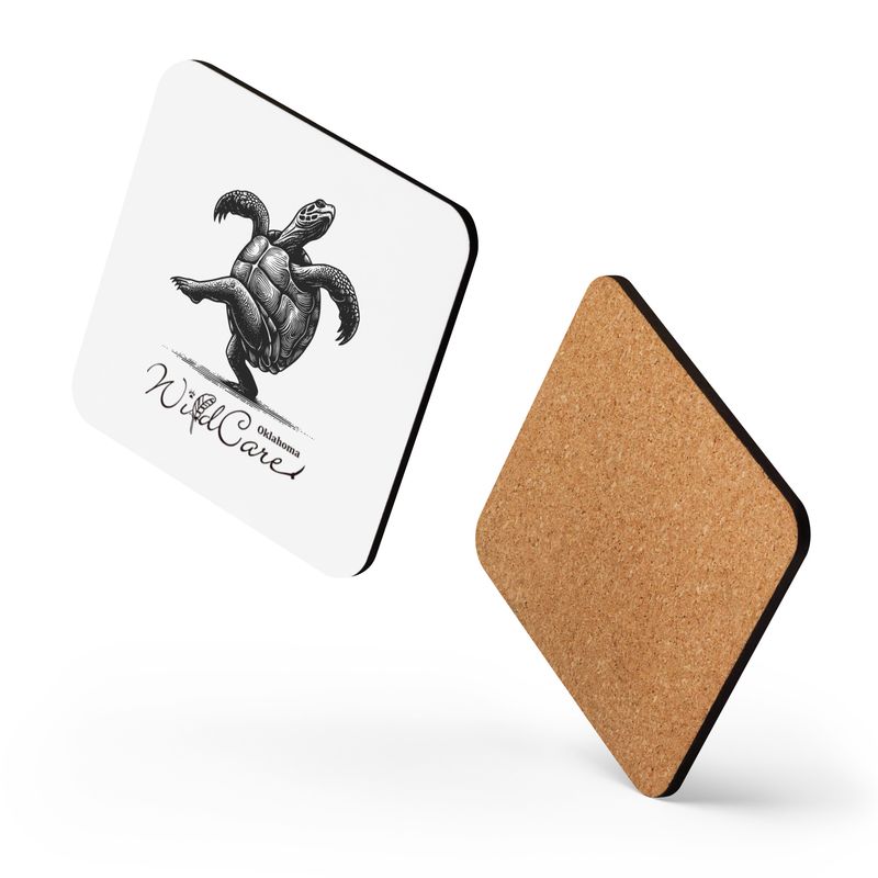 Coaster: Dancing Turtle