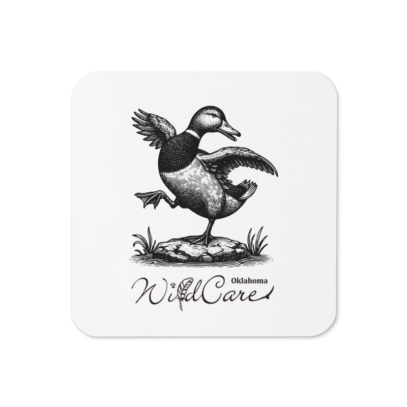 Coaster: Dancing Duck