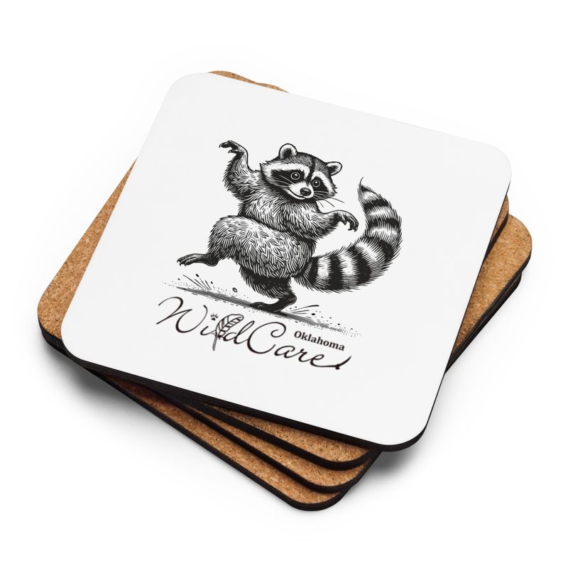 Coaster: Dancing Raccoon