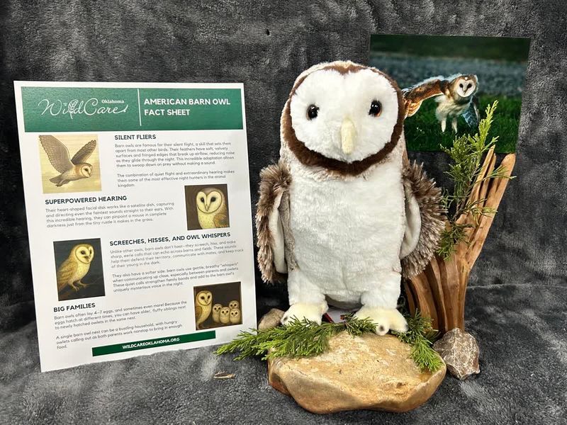Adopt an Animal: NEW Barn Owl ($25 without stuffed animal)