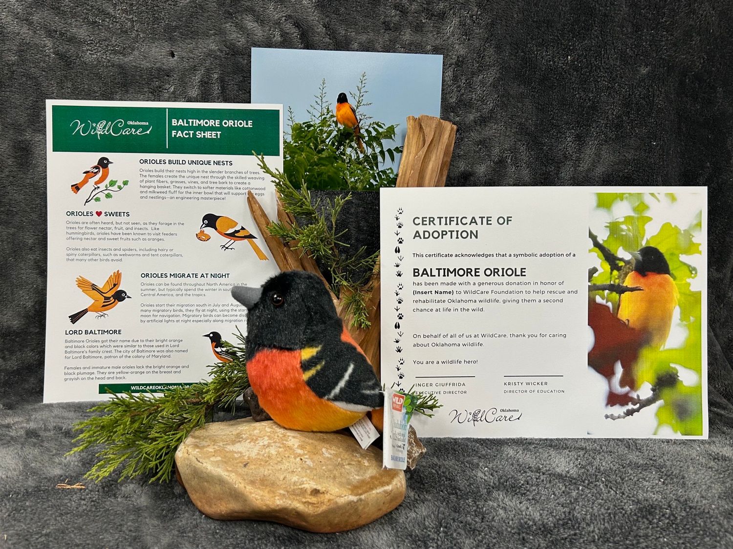 Adopt an Animal: Baltimore Oriole ($25 without stuffed animal)