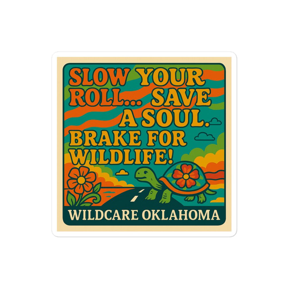 Sticker: Slow Your Roll, Save A Soul