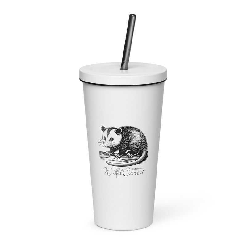 Insulated tumbler with a straw: Opossum