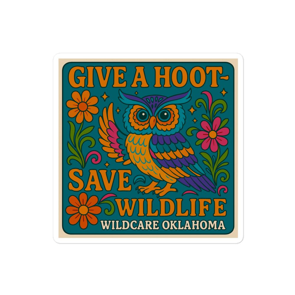 Sticker: Give A Hoot, Save Wildlife