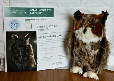 Adopt an Animal: Great Horned Owl ($25 without stuffed animal)