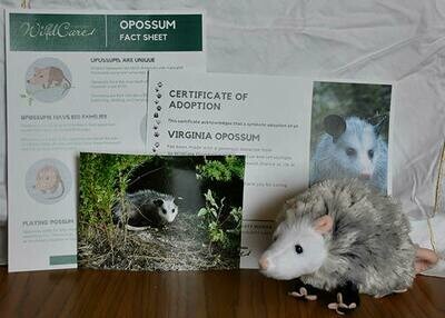 Adopt an Animal: Virginia Opossum ($25 without stuffed animal)
