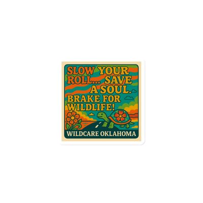 Magnet: Slow Your Roll, Save A Soul (3 sizes to choose from)