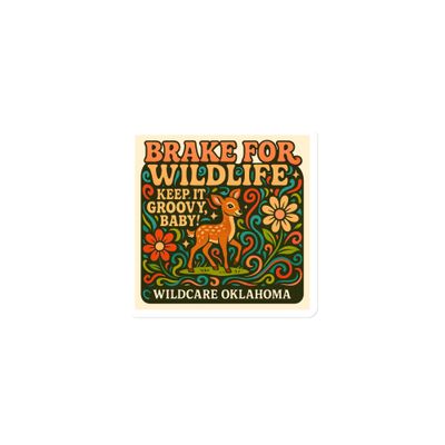 Magnet: Brake for Wildlife, Keep it Groovy Baby (3 sizes to choose from)