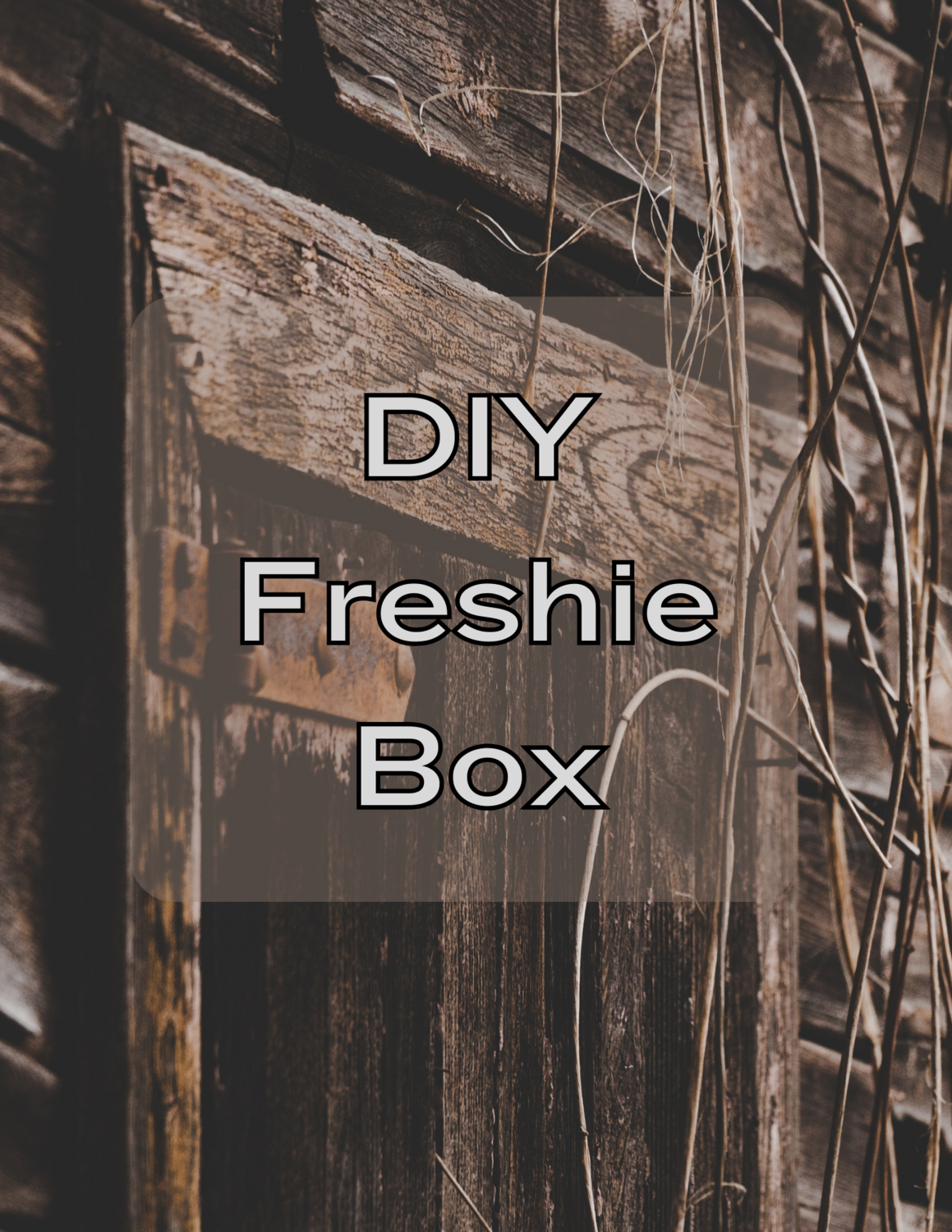 DIY Freshie Box