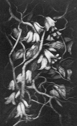 Original print, Mezzotint. &quot;Amongst the Woodland Shade&quot; Limited Edition of 15 (6&quot;w x 8&quot;H