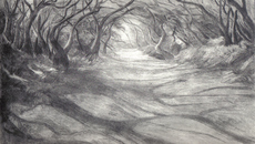 Original / Intaglio Prints