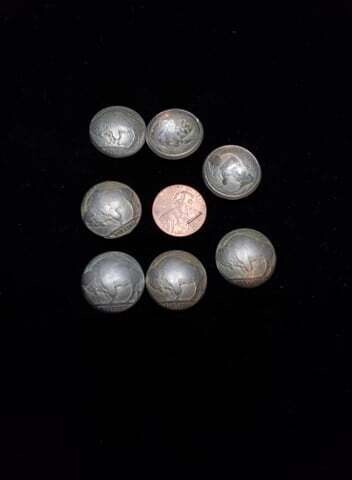 Buffalonickels domed  buffalo up 20pc set