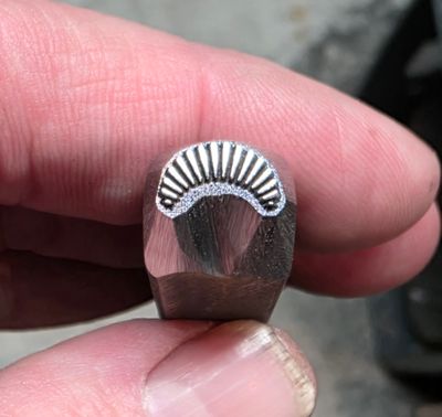 Scallop 599