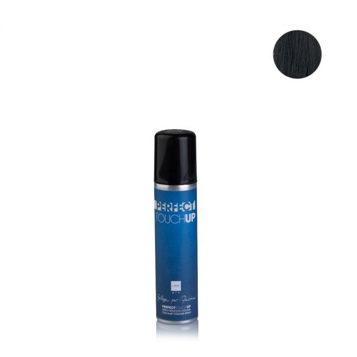 PERFECT TOUCH RITOCCO CAPELLI SPRAY 75ml PERFECT TOUCH RITOCCO CAPELLI SPRAY 75ml, COLORE: NERO
