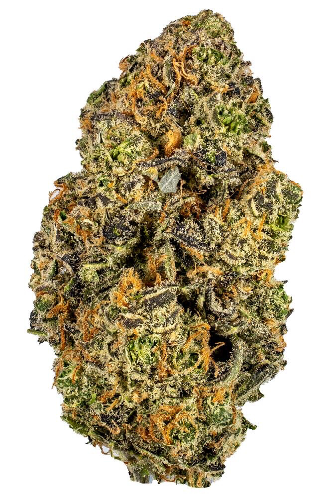 Platinum Blue Dream Strains