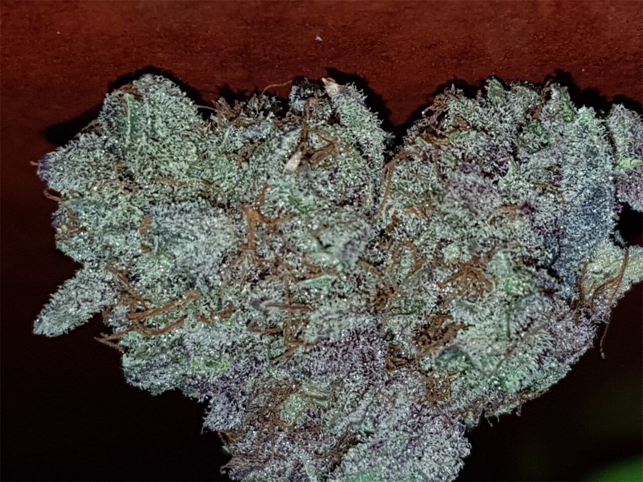 Purple Green Crack Strains