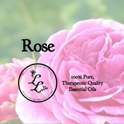 Rose (rosa damascena)