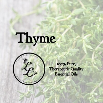 Thyme (thymus vulgaris)