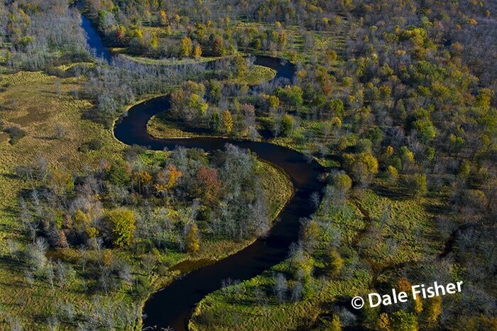 Winding Stream