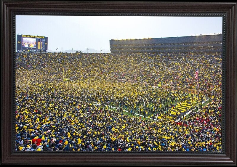 Wolverine Fans Storm the Field- 2021