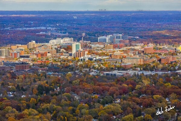 Tree City in the Fall- #6701