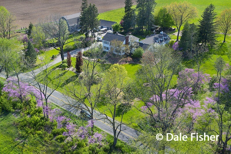 Spring at Jackson County Farm