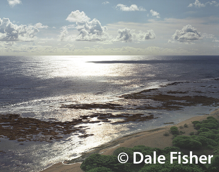 Hawaiian Beach