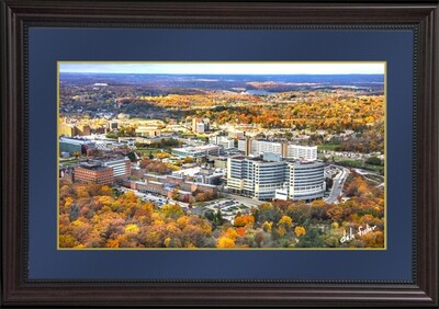 University of Michigan Hospital Close-Up in the Fall -Signature Mat -Framed NT