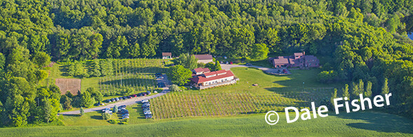 Sandhill Crane Vineyards
