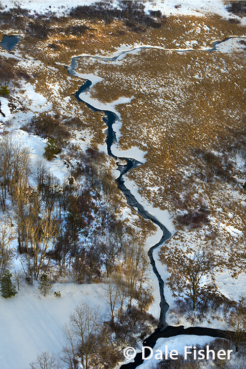 Winter Stream