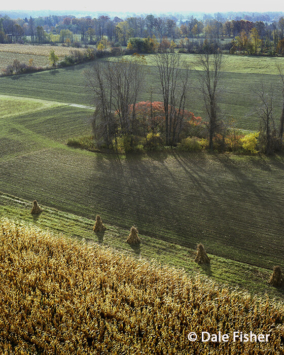 Harvest