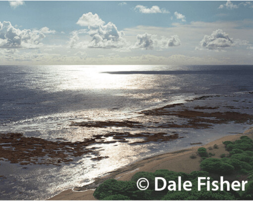 Hawaiian Beach