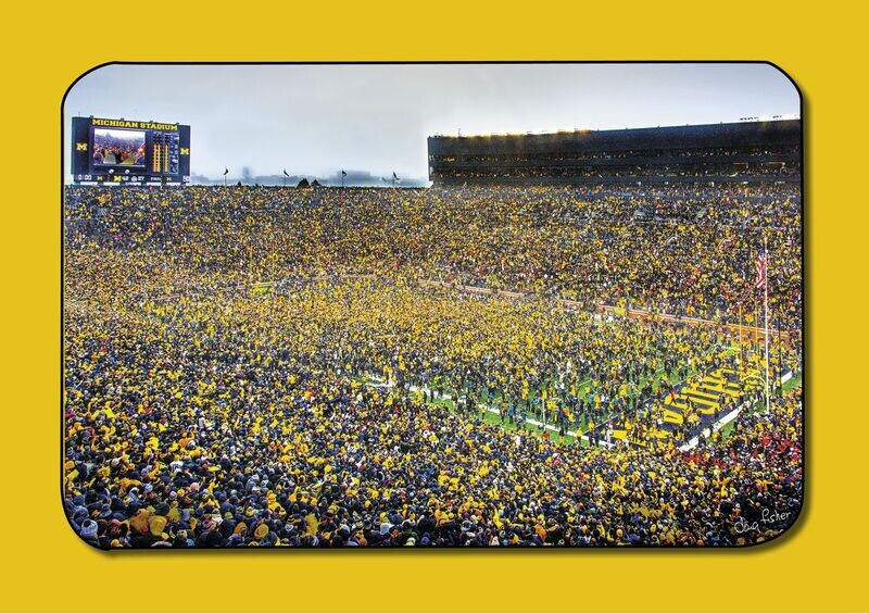 Fans Storm the Field - 2021