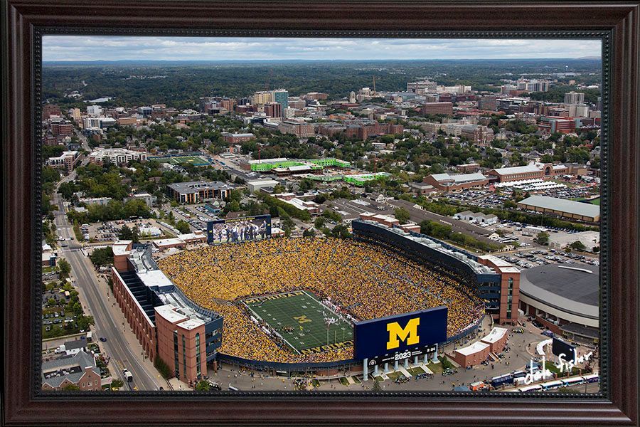 9-7-24 Maize Out from the Air #1888