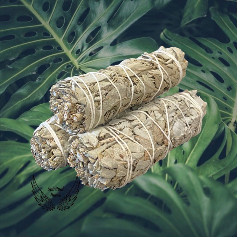 White Sage