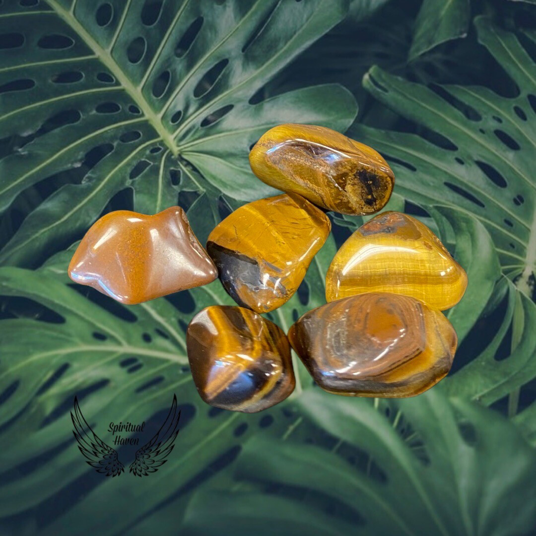 Tigers Eye