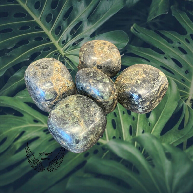 Kambaba Jasper