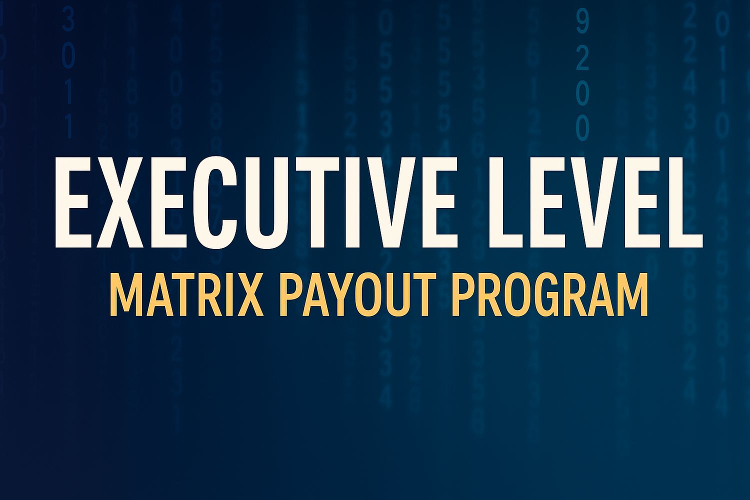 EXECUTIVE LEVEL SIGNUP $5000 BDS