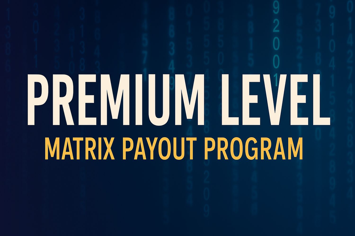 PREMIUM LEVEL SIGNUP $1000 BDS