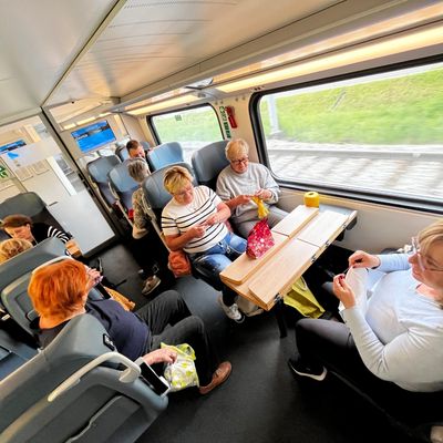 Kvačkanje na vlaku Brežice-Ptuj-Brežice