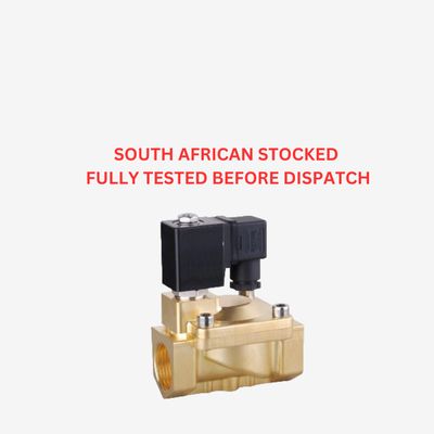 PDS22 Normally Closed Brass Industrial Electric Solenoid Valve - VITON