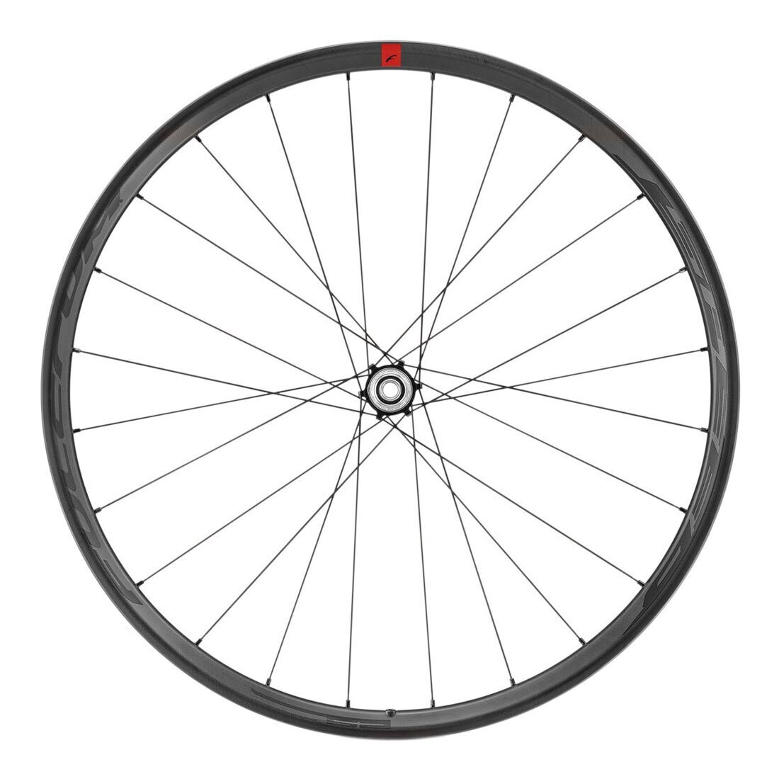 Fulcrum Speed 25 Carbon Ruote Corsa Freno a Disco 2022