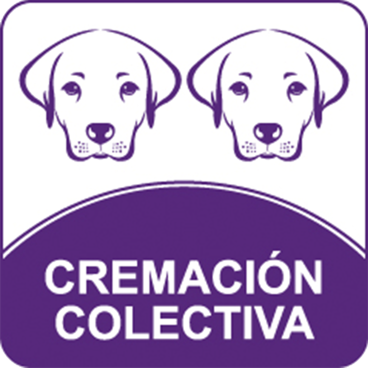 Cremacion colectiva