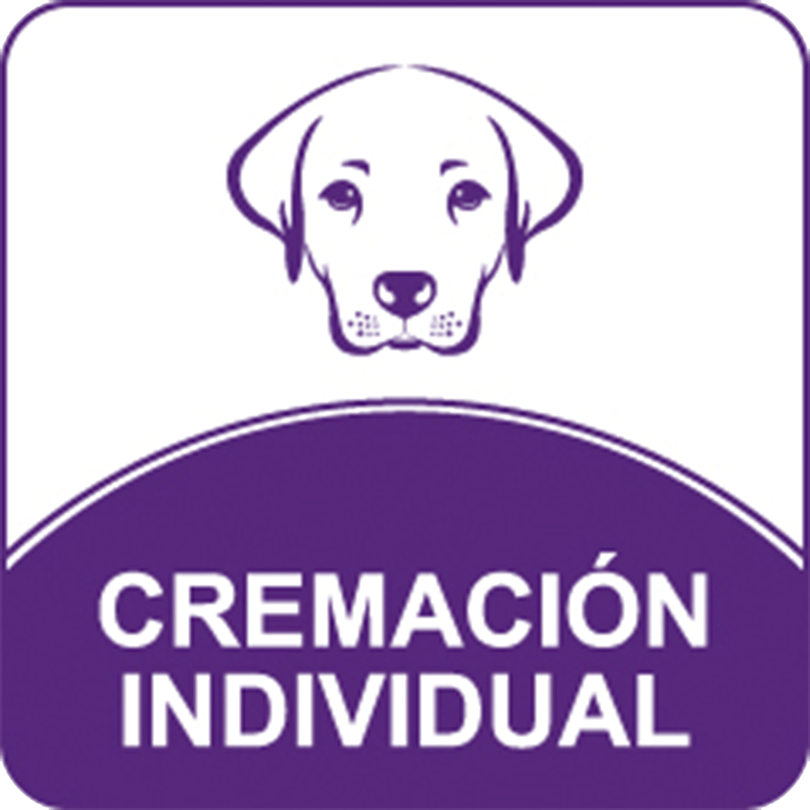 Cremacion Individual