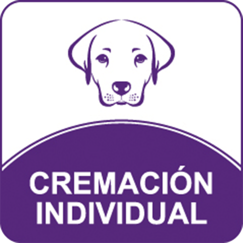 Cremacion Individual