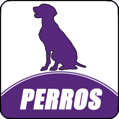 Alimentacion Perros