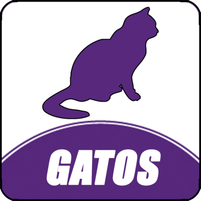 Alimentacion Gatos